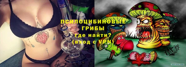 прущие грибы Абдулино
