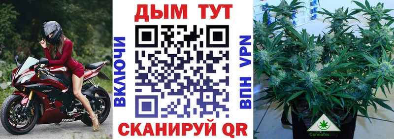 наркотики  Ртищево  гидра онион  нарко площадка телеграм  Шишки марихуана AK-47 